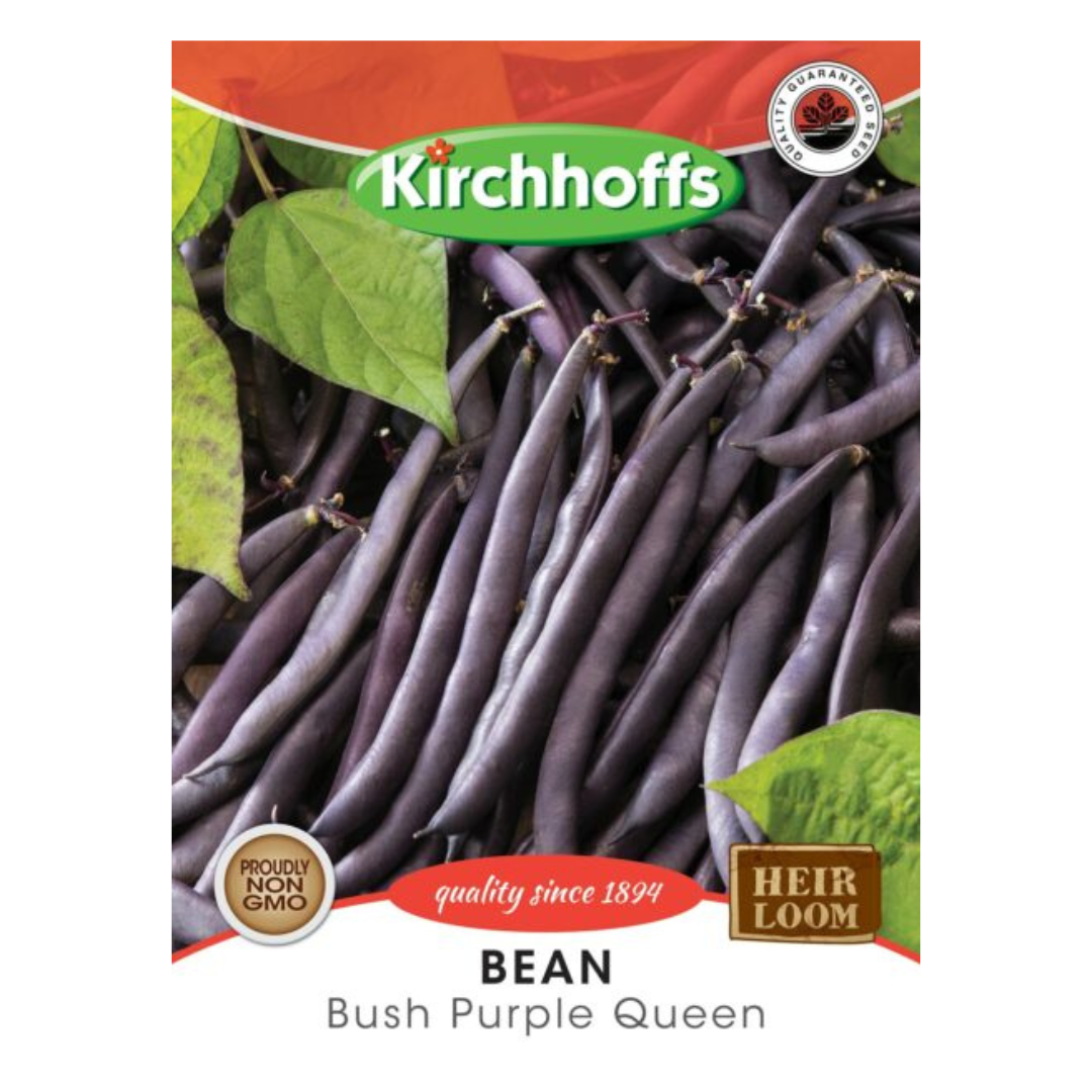 Bean (Bush Purple Queen) - Kirchhoff Seeds, Vegetables