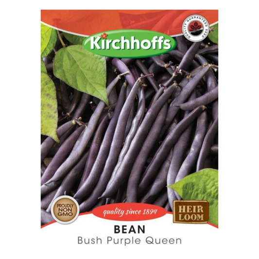 Bean (Bush Purple Queen) - Kirchhoff Seeds, Vegetables