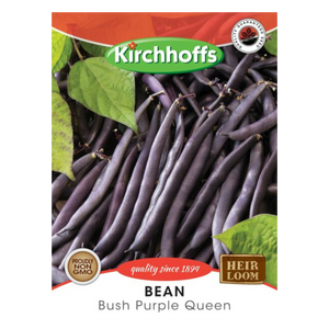 Bean (Bush Purple Queen) - Kirchhoff Seeds, Vegetables