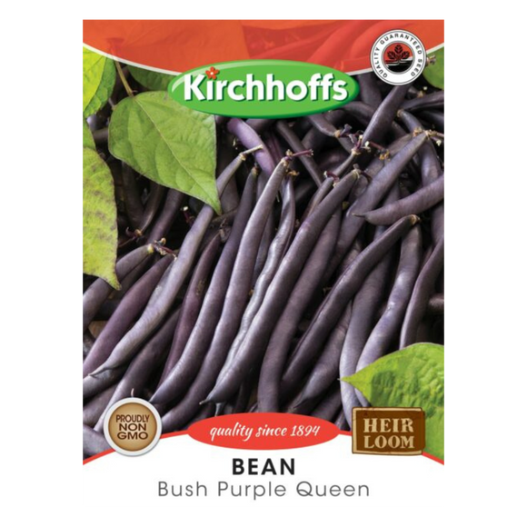 Bean (Bush Purple Queen) - Kirchhoff Seeds, Vegetables