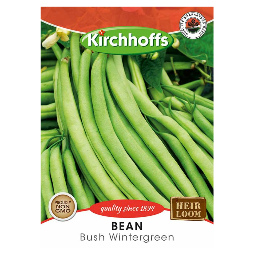 Bean (Bush Wintergreen) - Kirchhoff Seeds, Vegetables