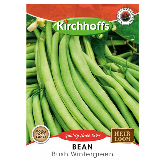 Bean (Bush Wintergreen) - Kirchhoff Seeds, Vegetables