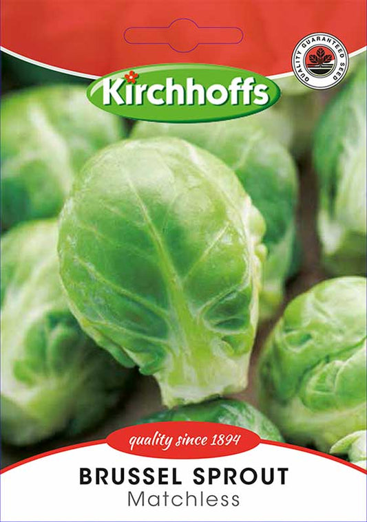 Brussel Sprout (Long Island) - Kirchhoff Seeds, Vegetables