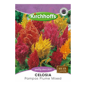 Celosia (Pampas Plume Mixed) - Kirchhoff Seeds, Flowers