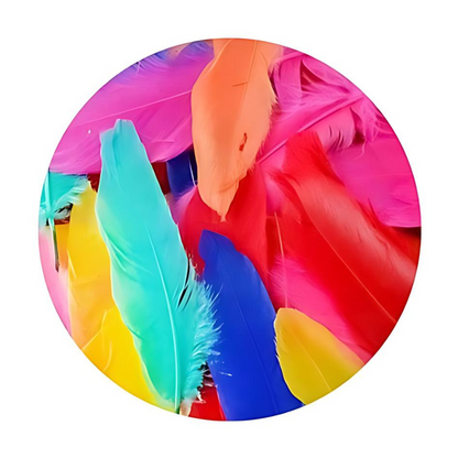 Crazy Crafts Mixed Goose Feathers - Standard, Assorted Colours, 5g