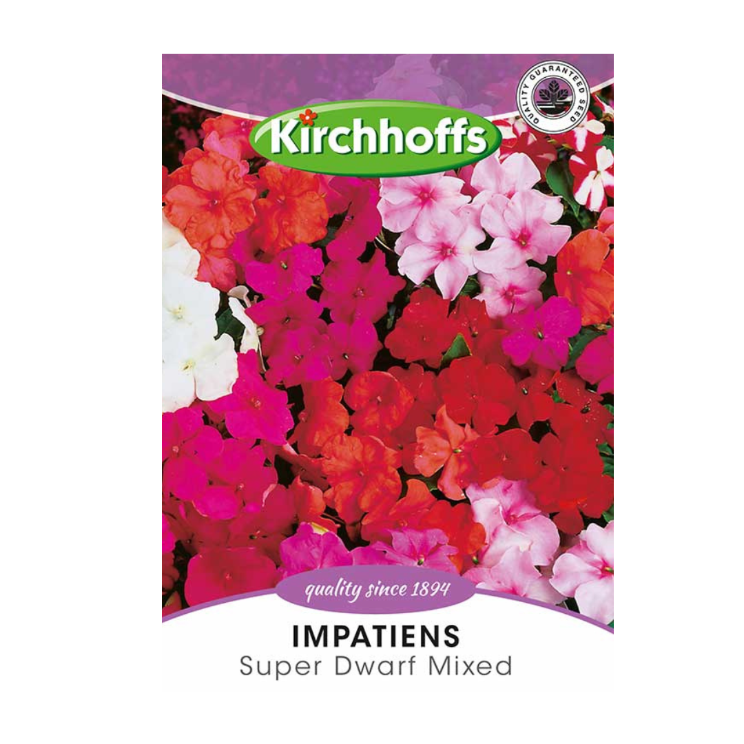 Impatiens (Super Dwarf Mixed) - Kirchhoff Seeds, Flowers