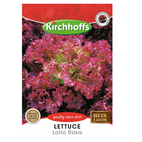 Lettuce (Lollo Rosa) - Kirchhoff Seeds, Vegetables