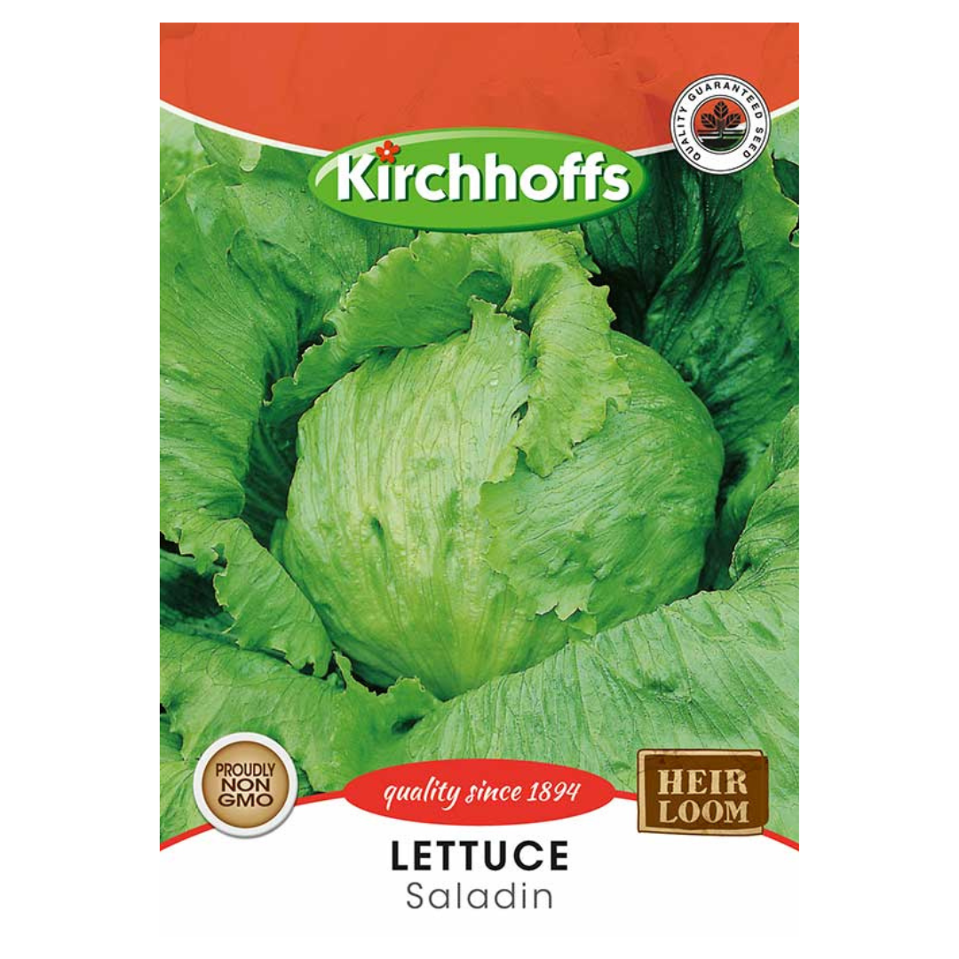 Lettuce (Saladin) - Kirchhoff Seeds, Vegetables