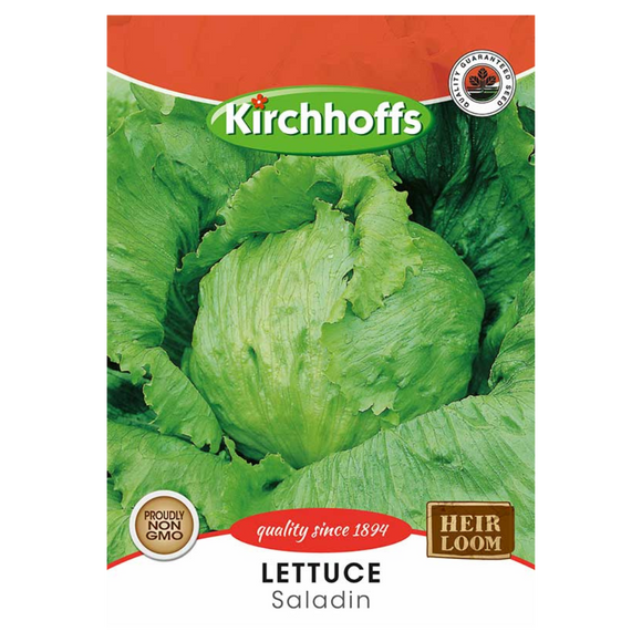 Lettuce (Saladin) - Kirchhoff Seeds, Vegetables