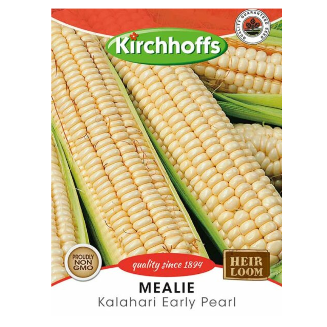 Mealie (Kalahari Early Pearl) - Kirchhoff Seeds, Vegetables