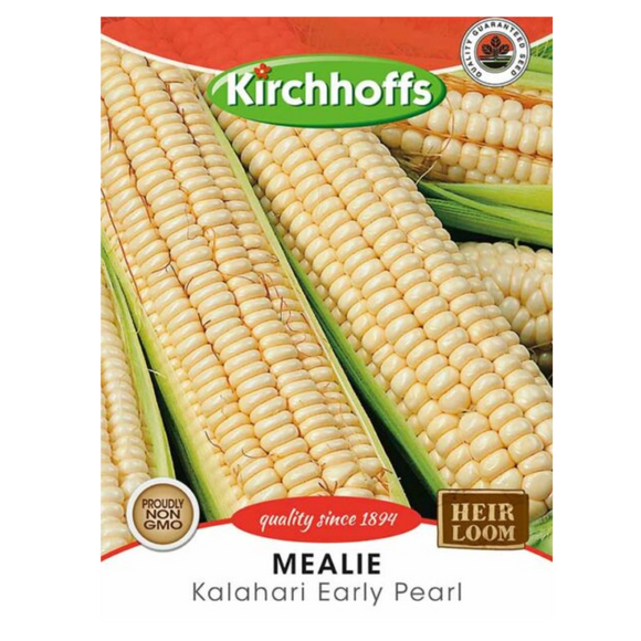 Mealie (Kalahari Early Pearl) - Kirchhoff Seeds, Vegetables