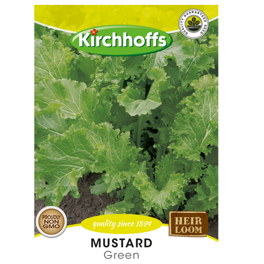 Mustard (Green) Kirchhoff Seeds, Herbs