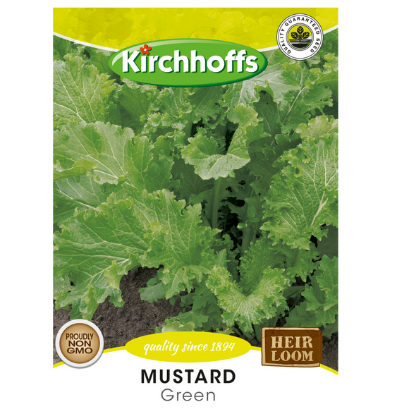 Mustard (Green) Kirchhoff Seeds, Herbs