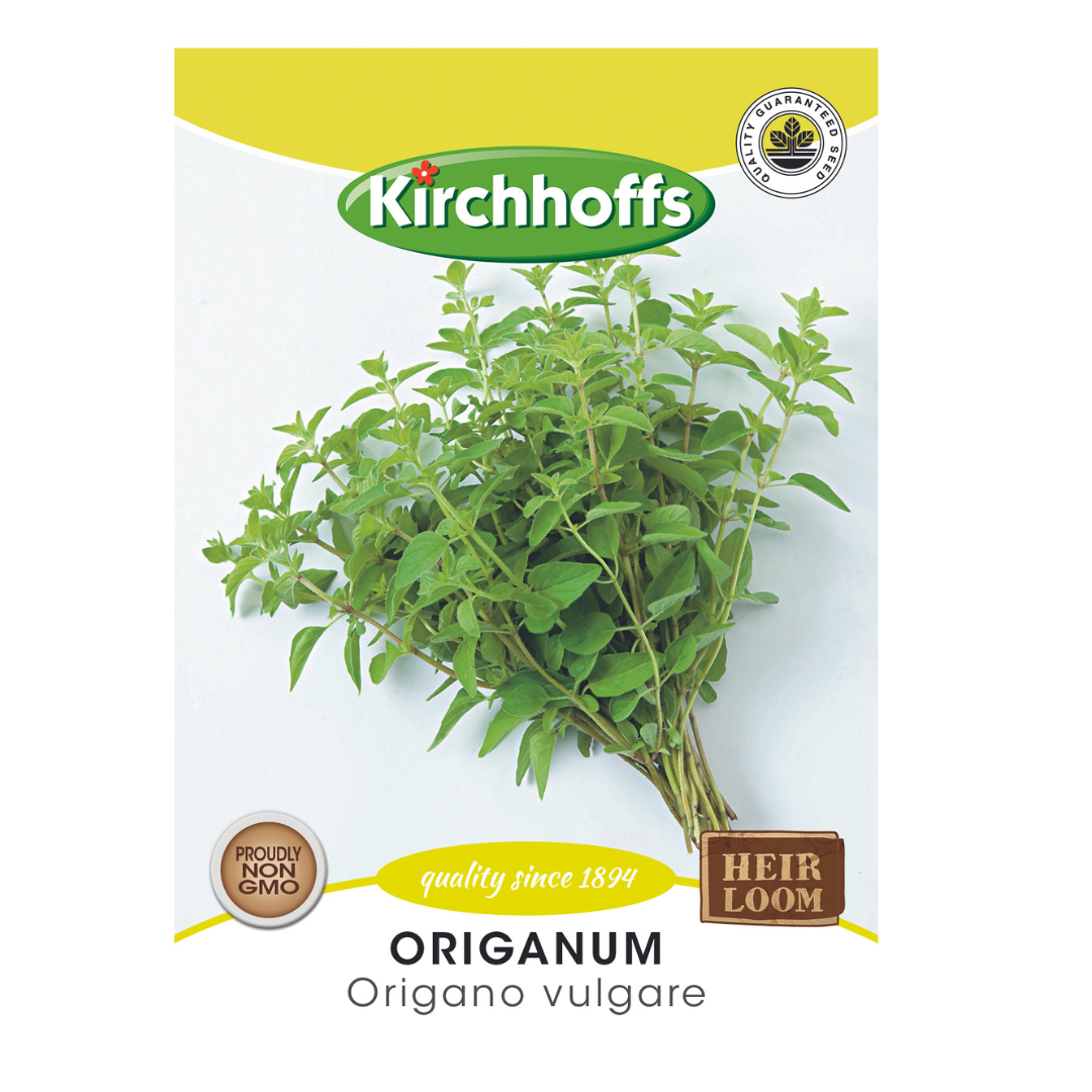 Origanum (Origano vulgare) - Kirchhoff Seeds, Herbs