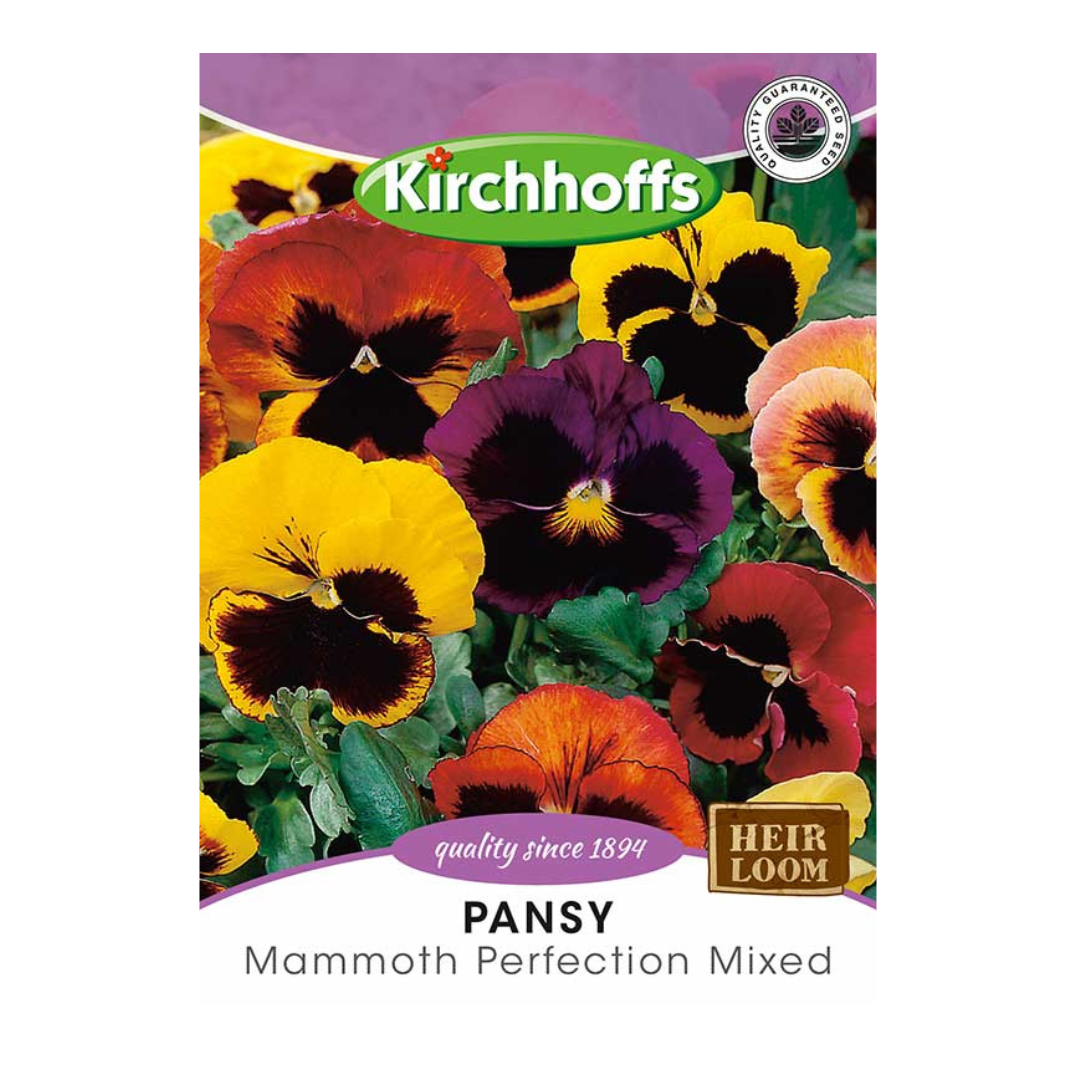 Pansy (Mammoth Perfection Mixed) - Kirchhoff Seeds, Flowers