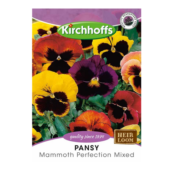 Pansy (Mammoth Perfection Mixed) - Kirchhoff Seeds, Flowers