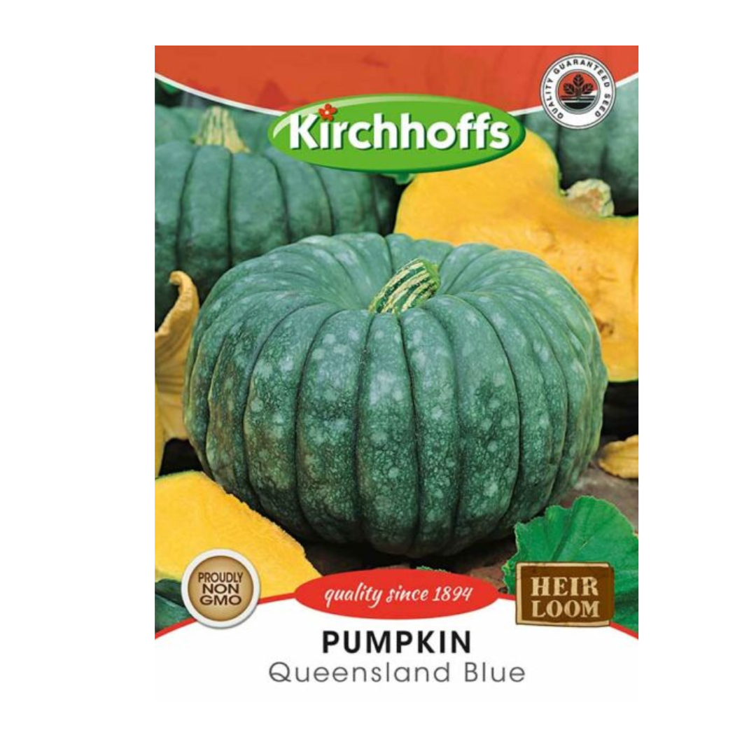 Pumpkin (Queensland Blue) - Kirchhoff Seeds, Vegetables