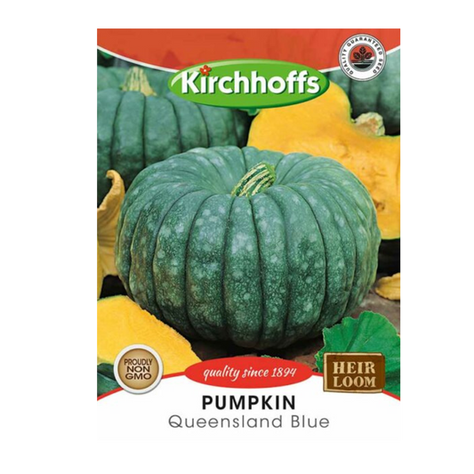 Pumpkin (Queensland Blue) - Kirchhoff Seeds, Vegetables