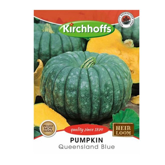 Pumpkin (Queensland Blue) - Kirchhoff Seeds, Vegetables