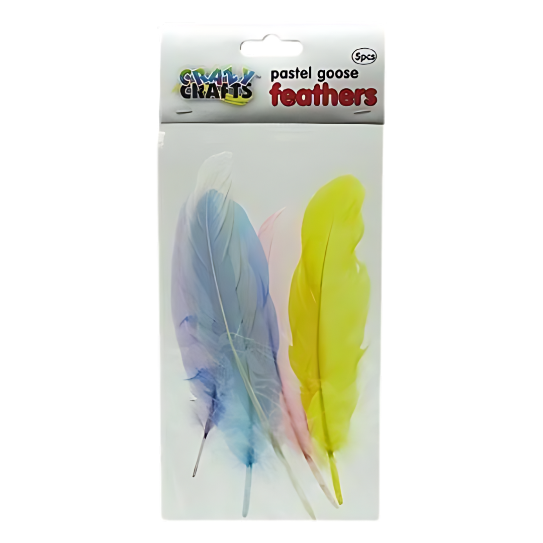 Crazy Crafts Mixed Goose Feathers - Large, Assorted Colours, 5pcs