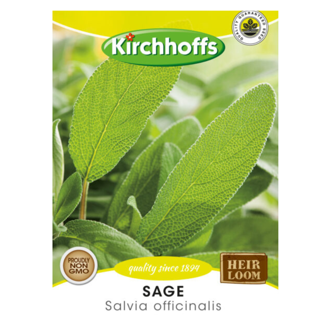 Sage (Salvia officinalis) - Kirchhoff Seeds, Herbs