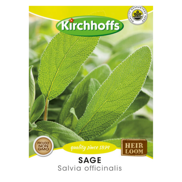 Sage (Salvia officinalis) - Kirchhoff Seeds, Herbs