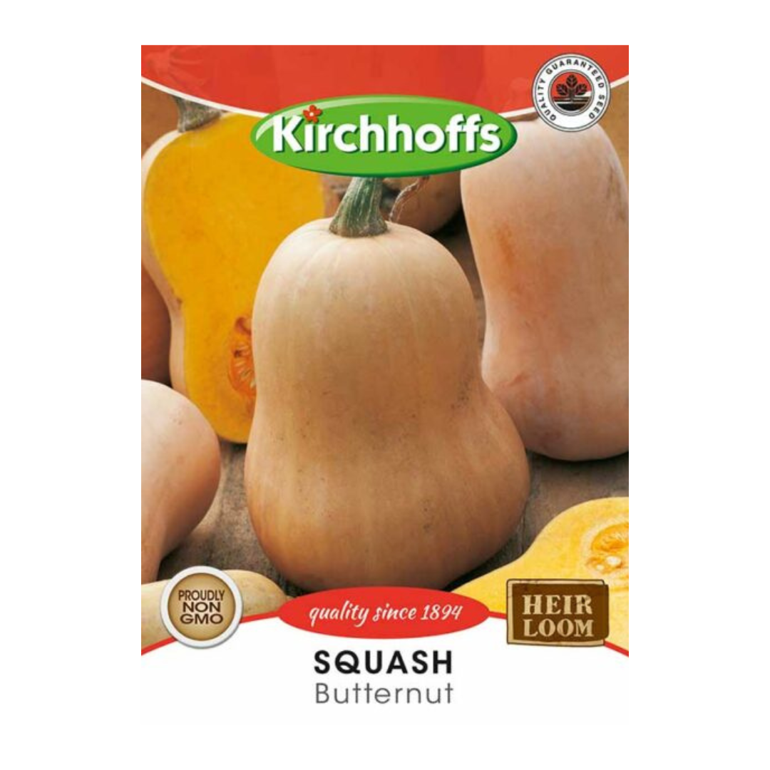 Squash (Butternut) - Kirchhoff Seeds, Vegetables