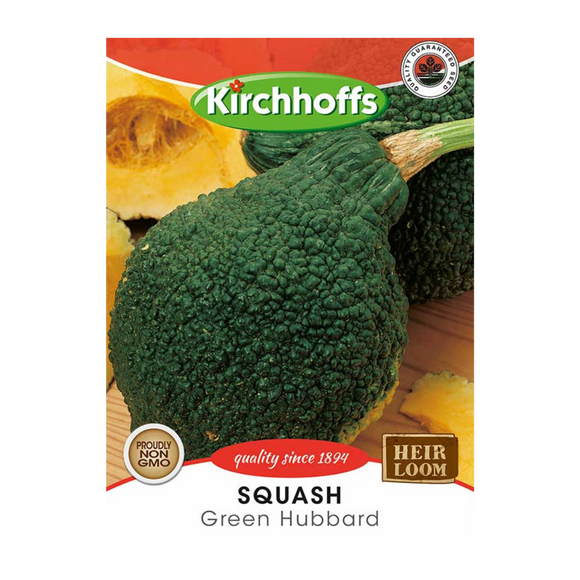 Squash (Green Hubbard) - Kirchhoff Seeds, Vegetables