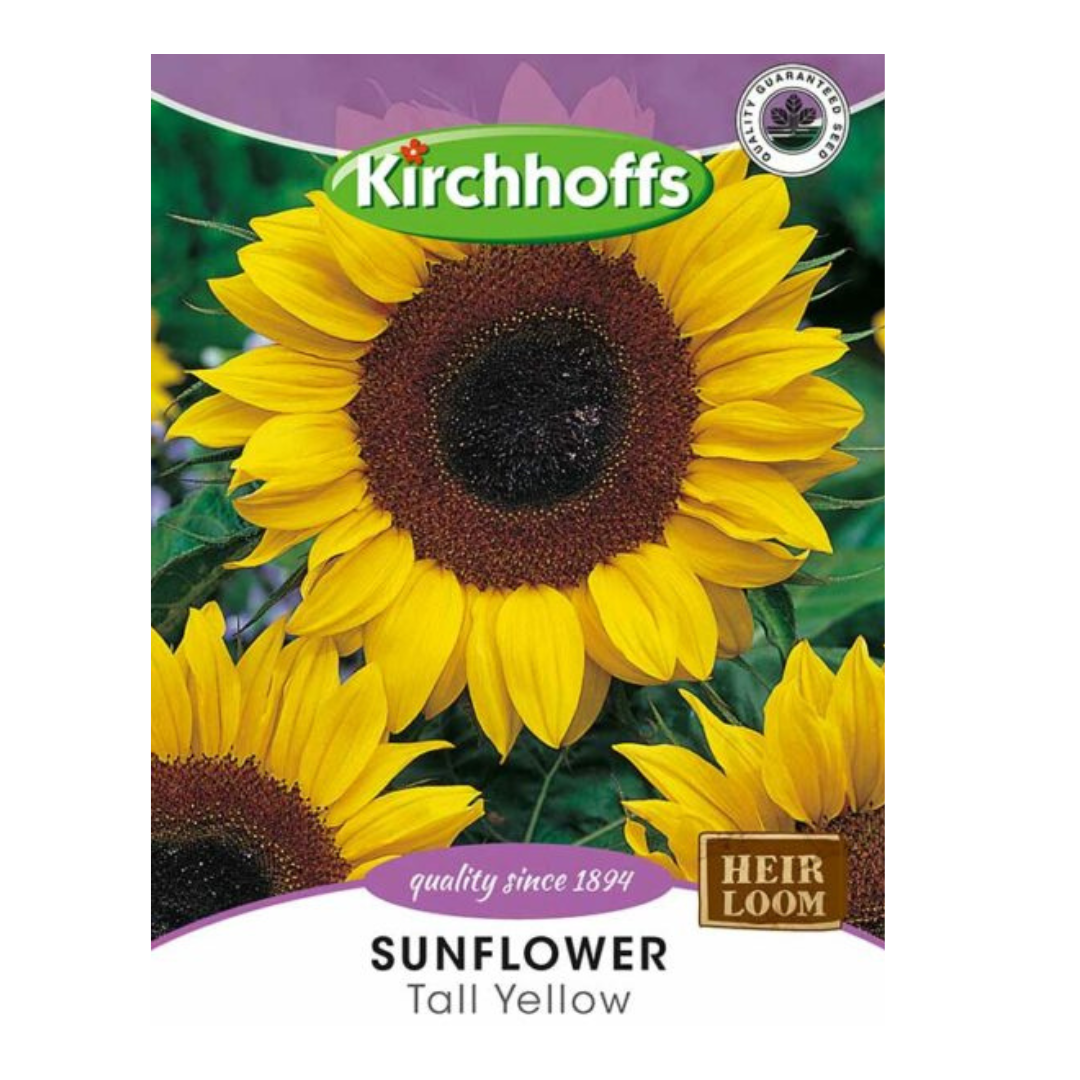 Sunflower (Tall Yellow) - Kirchhoff Seeds, Flowers