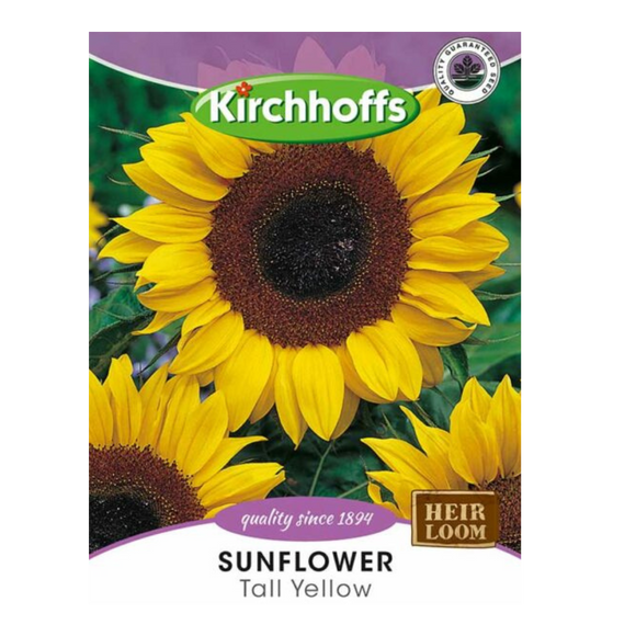 Sunflower (Tall Yellow) - Kirchhoff Seeds, Flowers