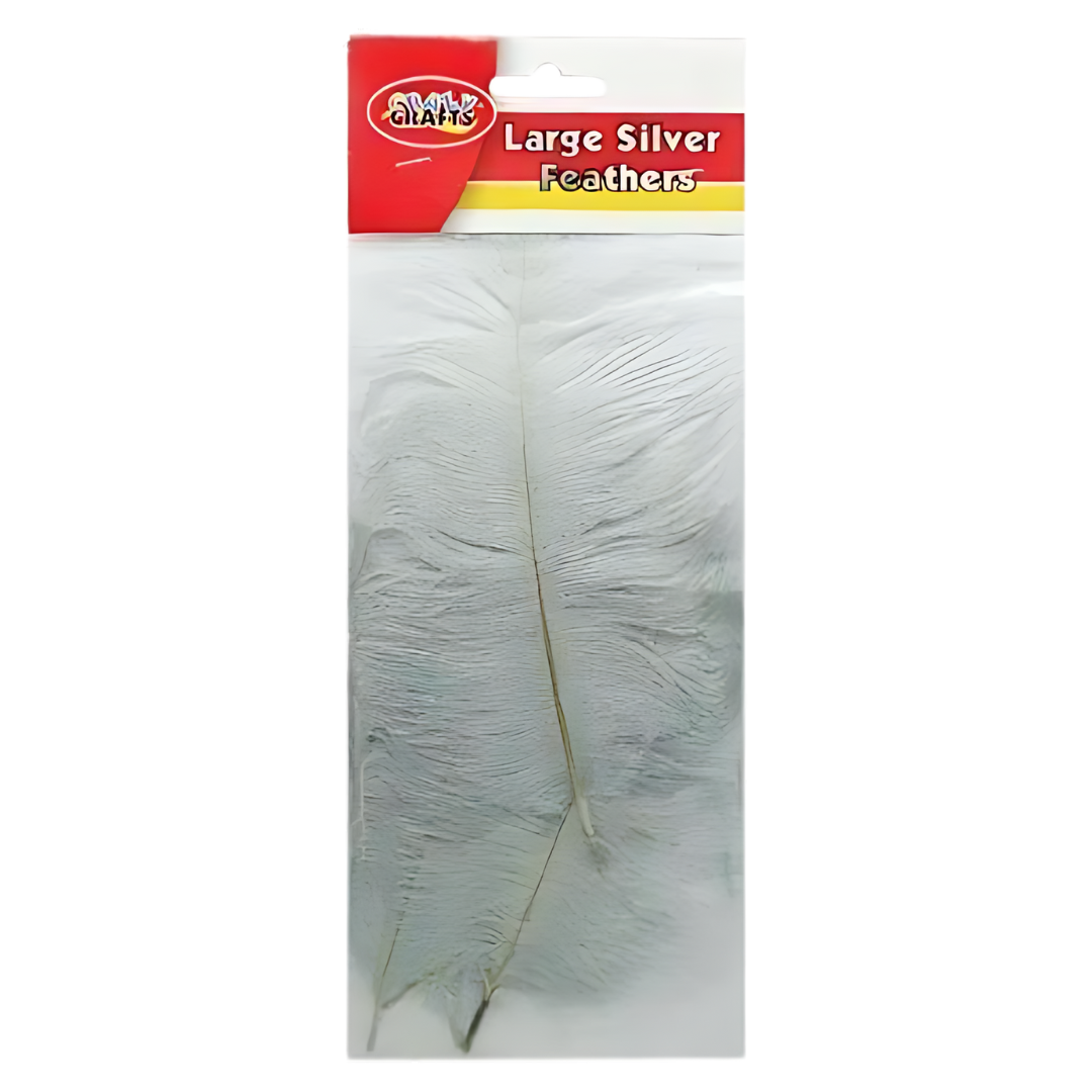 Crazy Crafts Mixed Goose Feathers - Large, Assorted Colours, 5pcs