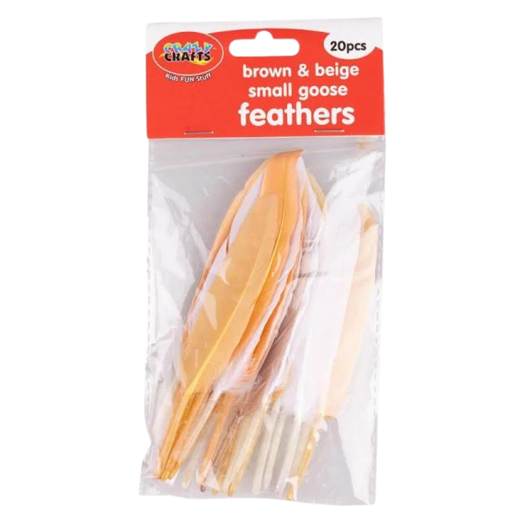 Crazy Crafts Mixed Goose Feathers - Small, Assorted Colours, 20pcs