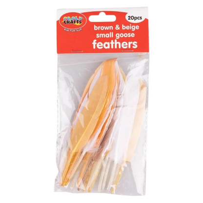 Crazy Crafts Mixed Goose Feathers - Small, Assorted Colours, 20pcs