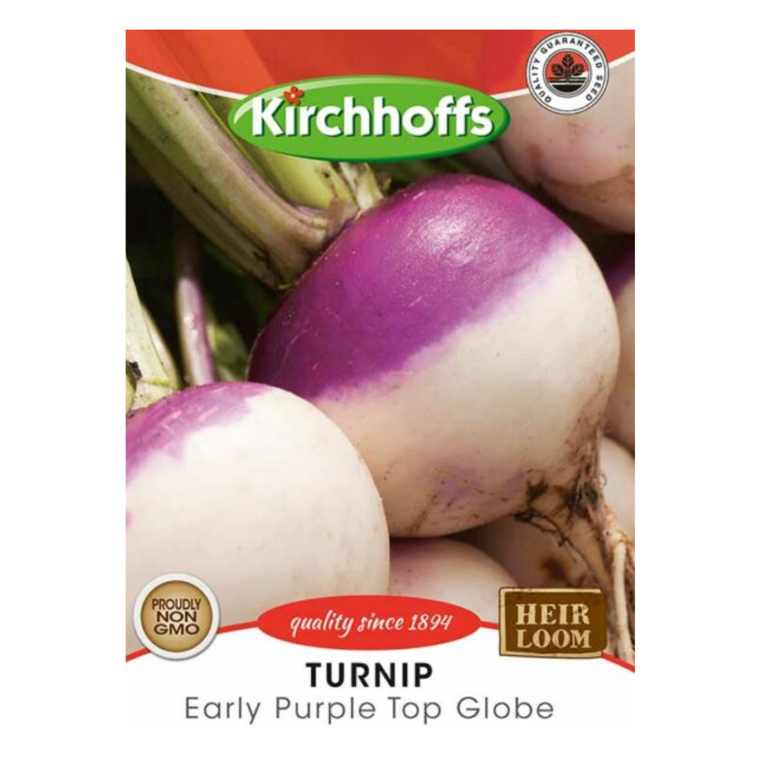 Turnip (Early Pearl Top Globe) - Kirchhoff Seeds, Vegetables