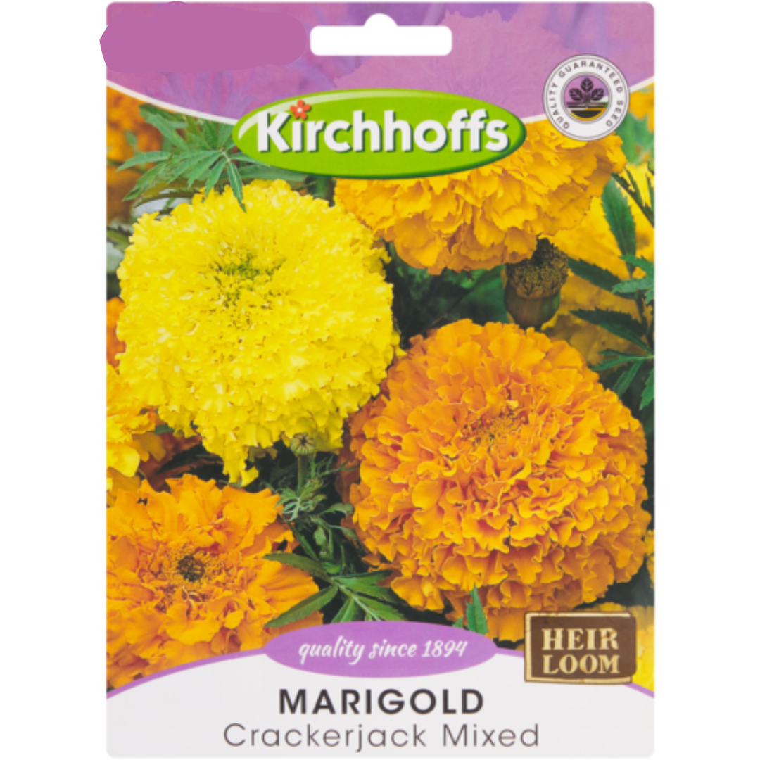 Marigold (Crackerjack Mixed) - Kirchhoff Seeds, Flowers