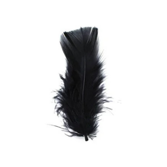 Crazy Crafts Black Feathers  7g