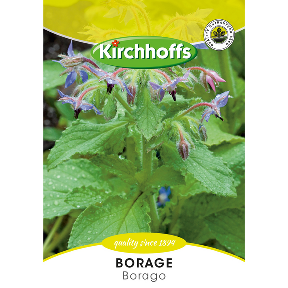 Borage (Borago) - Kirchhoff Seeds, Herbs