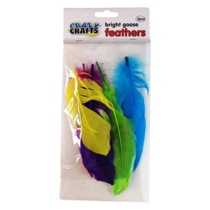 Crazy Crafts Mixed Goose Feathers - Large, Assorted Colours, 5pcs