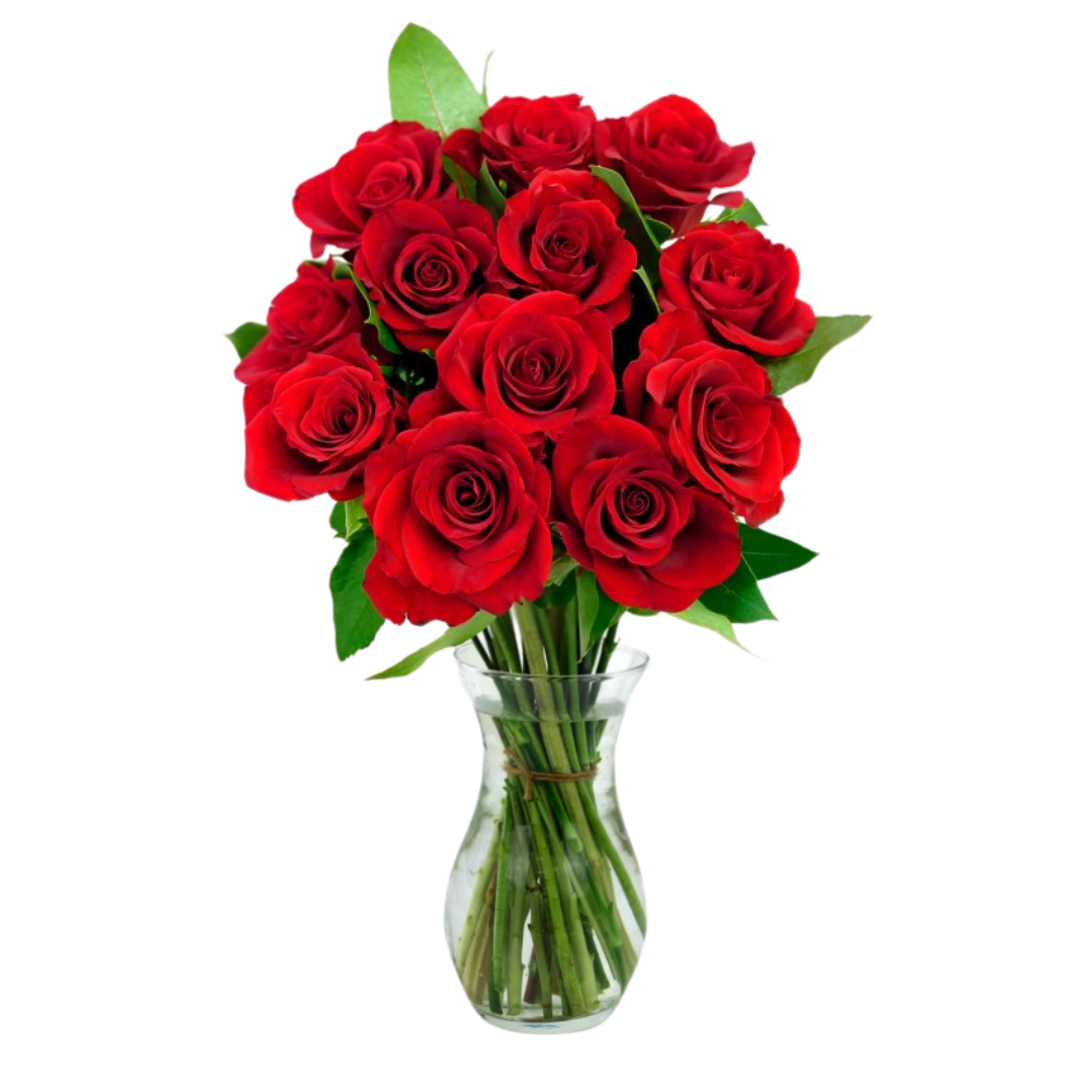 Fresh Roses Bunch - Red, Dozen