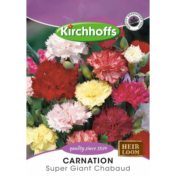 Carnation (Super Giant Chabaud) - Kirchhoff Seeds, Flowers