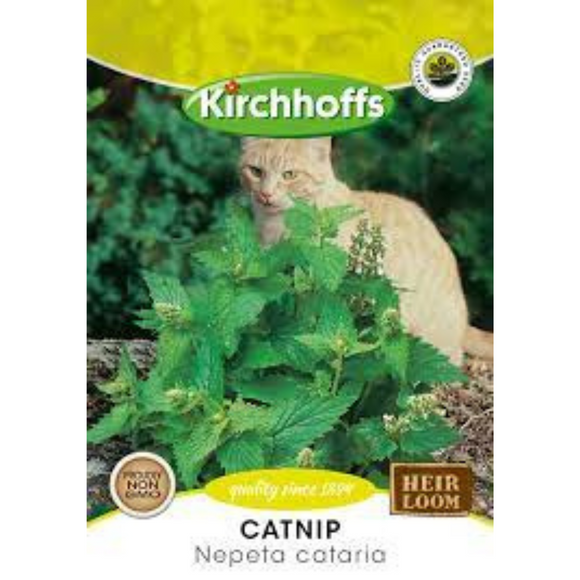 Catnip (Nepeta cataria) - Kirchhoff Seeds, Herbs