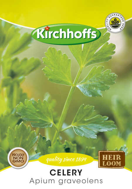 Celery (Apium Graveolens) - Kirchhoff Seeds, Herbs