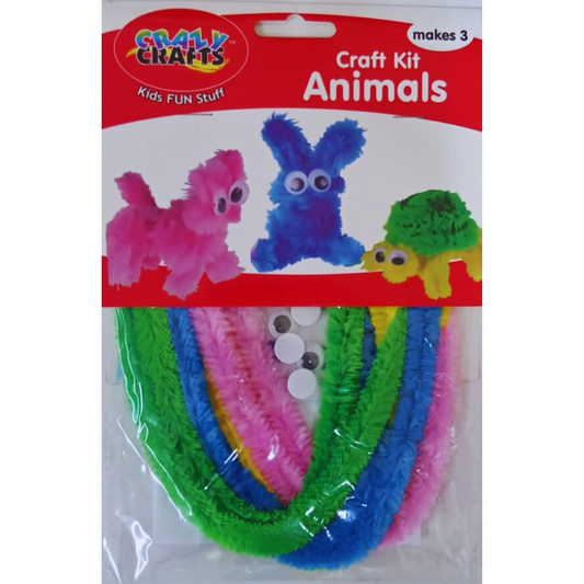 Crazy Crafts Craft Kits - Assorted Designs