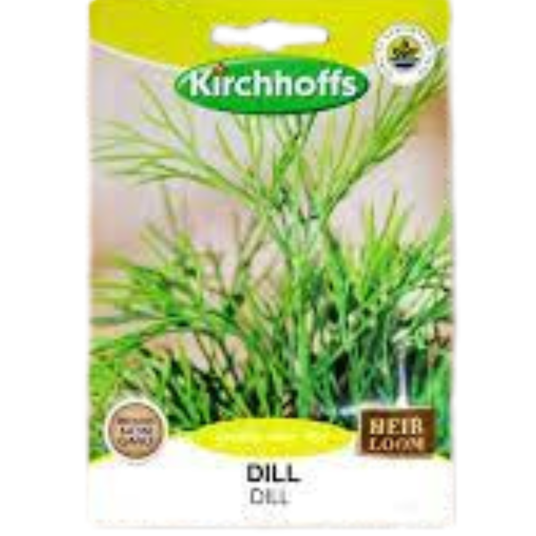 Dill - Kirchhoff Seeds, Herbs