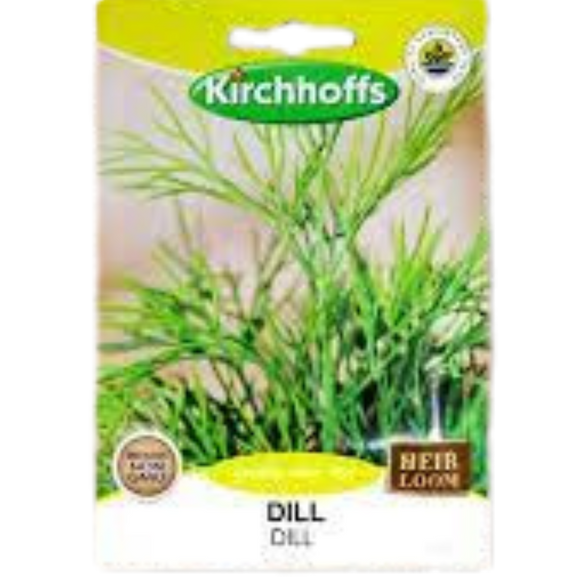 Dill - Kirchhoff Seeds, Herbs