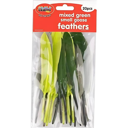 Crazy Crafts Mixed Goose Feathers - Small, Assorted Colours, 20pcs