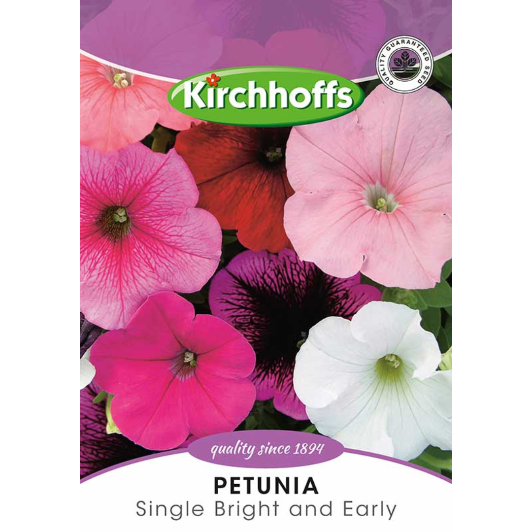 Petunia (Single Bright and Early) - Kirchhoff Seeds, Flowers