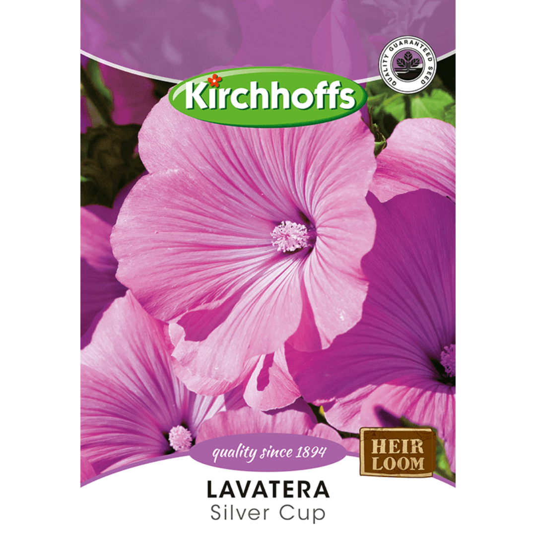 Lavatera (Silver Cup) - Kirchhoff Seeds, Flowers