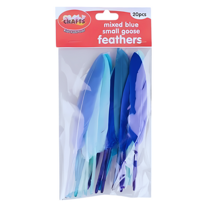 Crazy Crafts Mixed Goose Feathers - Small, Assorted Colours, 20pcs