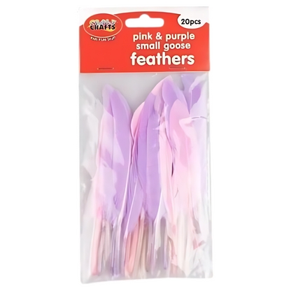 Crazy Crafts Mixed Goose Feathers - Small, Assorted Colours, 20pcs